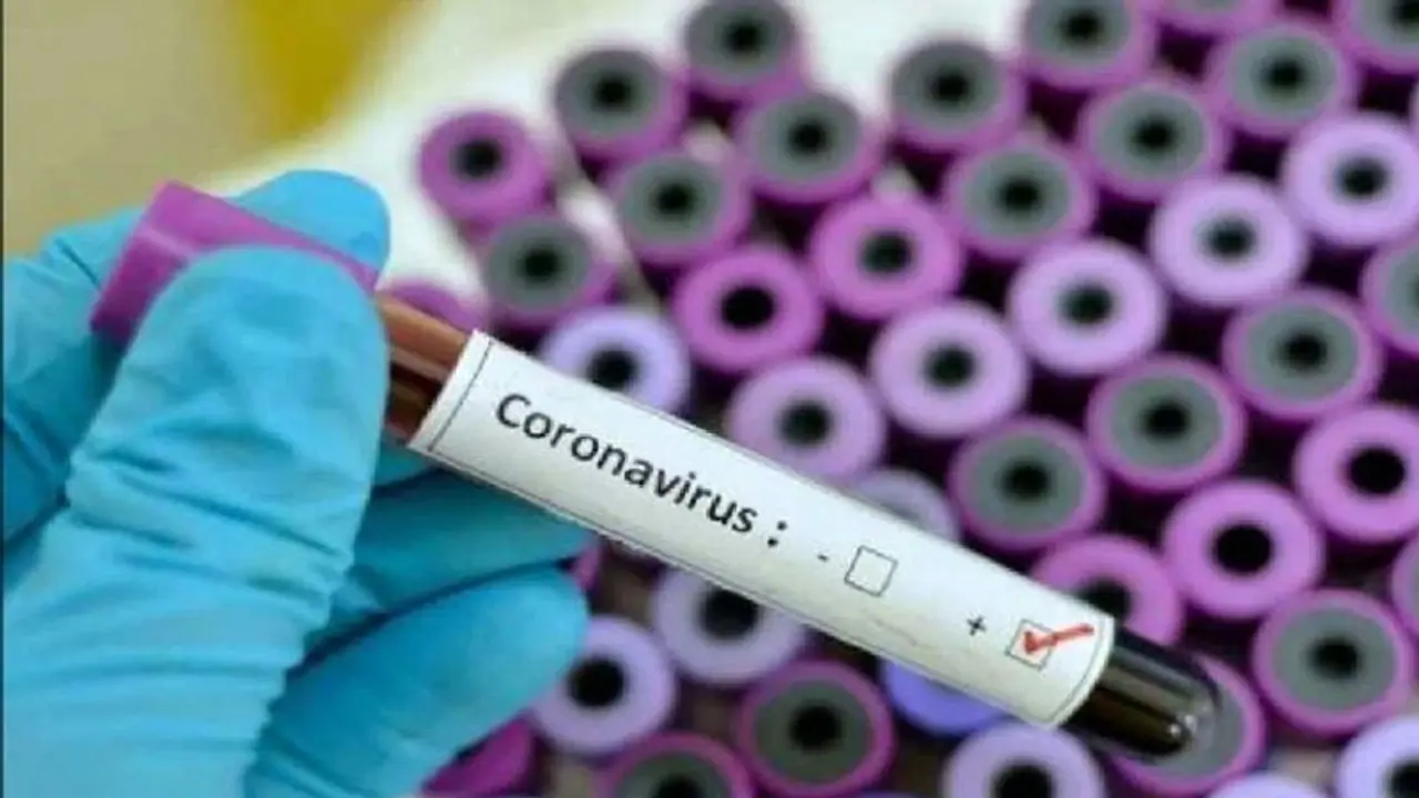 'Coronavirus patients treated worse than animals’: SC lashes out at Delhi government