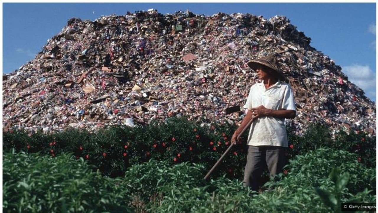 'മാലിന്യ ദ്വീപ്' എന്ന വിളി കേട്ടു, പൊറുതിമുട്ടി; പിന്നീട് മാലിന്യ സംസ്കരണത്തില് മാതൃകയായിത്തീര്ന്നതിങ്ങനെ 'മാലിന്യ ദ്വീപ്' എന്ന വിളി കേട്ടു, പൊറുതിമുട്ടി; പിന്നീട് മാലിന്യ സംസ്കരണത്തില് മാതൃകയായിത്തീര്ന്നതിങ്ങനെ