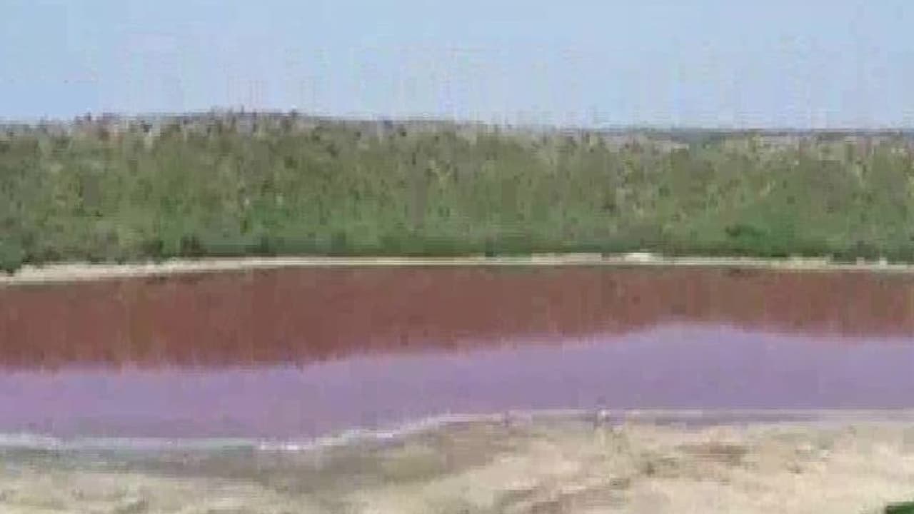 করোনা সংকটের মাঝেই লেকের জল হল গোলাপি, ৫০ হাজার বছর আগে উল্কার আঘাতে তৈরি হয়েছিল হ্রদ করোনা সংকটের মাঝেই লেকের জল হল গোলাপি, ৫০ হাজার বছর আগে উল্কার আঘাতে তৈরি হয়েছিল হ্রদ