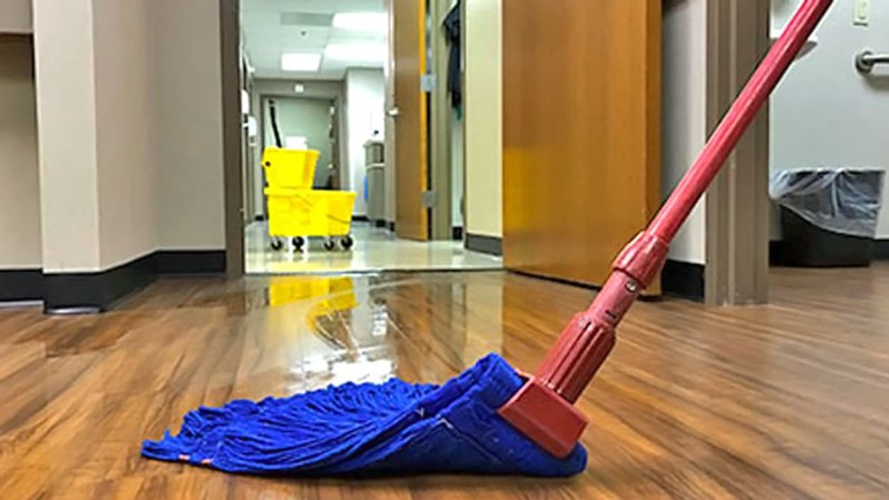 पानी में ये 1 चीज मिलाकर घर में लगाएं पोंछा, दूर होगा वास्तु दोष और बनी रहेगी पॉजिटिविटी पानी में ये 1 चीज मिलाकर घर में लगाएं पोंछा, दूर होगा वास्तु दोष और बनी रहेगी पॉजिटिविटी