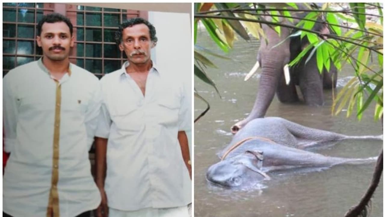 പാലക്കാട് ദുരൂഹ സാഹചര്യത്തില് ആന ചെരിഞ്ഞ സംഭവം; മുഖ്യപ്രതികള്ക്കായി ലുക്കൌട്ട് നോട്ടീസ് പാലക്കാട് ദുരൂഹ സാഹചര്യത്തില് ആന ചെരിഞ്ഞ സംഭവം; മുഖ്യപ്രതികള്ക്കായി ലുക്കൌട്ട് നോട്ടീസ്