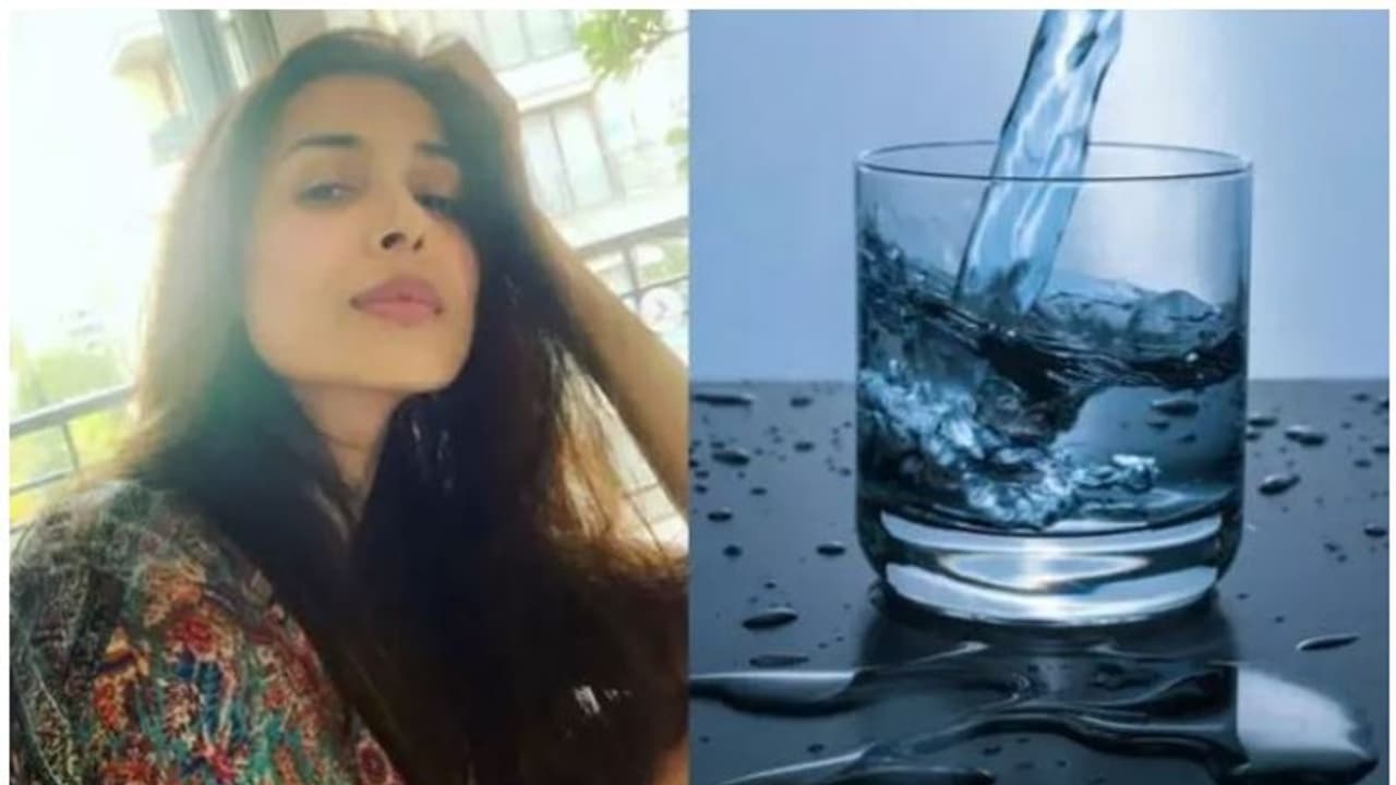 'വെള്ളം വെറുതെ കുടിച്ചിട്ട് കാര്യമില്ല'; മലൈക അറോറ പറയുന്നു 'വെള്ളം വെറുതെ കുടിച്ചിട്ട് കാര്യമില്ല'; മലൈക അറോറ പറയുന്നു