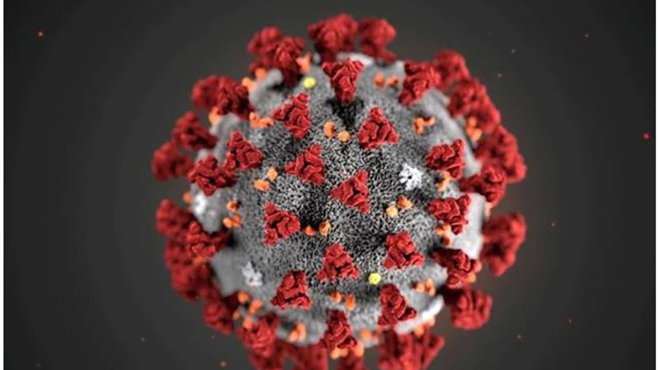 ఏపీలో ఆరు వేలు దాటిన కరోనా కేసులు: ఒక్క రోజులో 294 మందికి పాజిటివ్, ఇద్దరి మృతి