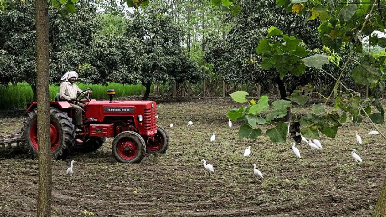 মাওবাদীদের সাহায্য করতে গিয়ে গ্রেফতার বিজেপি নেতা, বনের মধ্যে ট্রাক্টর দিয়ে কী করছে তারা মাওবাদীদের সাহায্য করতে গিয়ে গ্রেফতার বিজেপি নেতা, বনের মধ্যে ট্রাক্টর দিয়ে কী করছে তারা