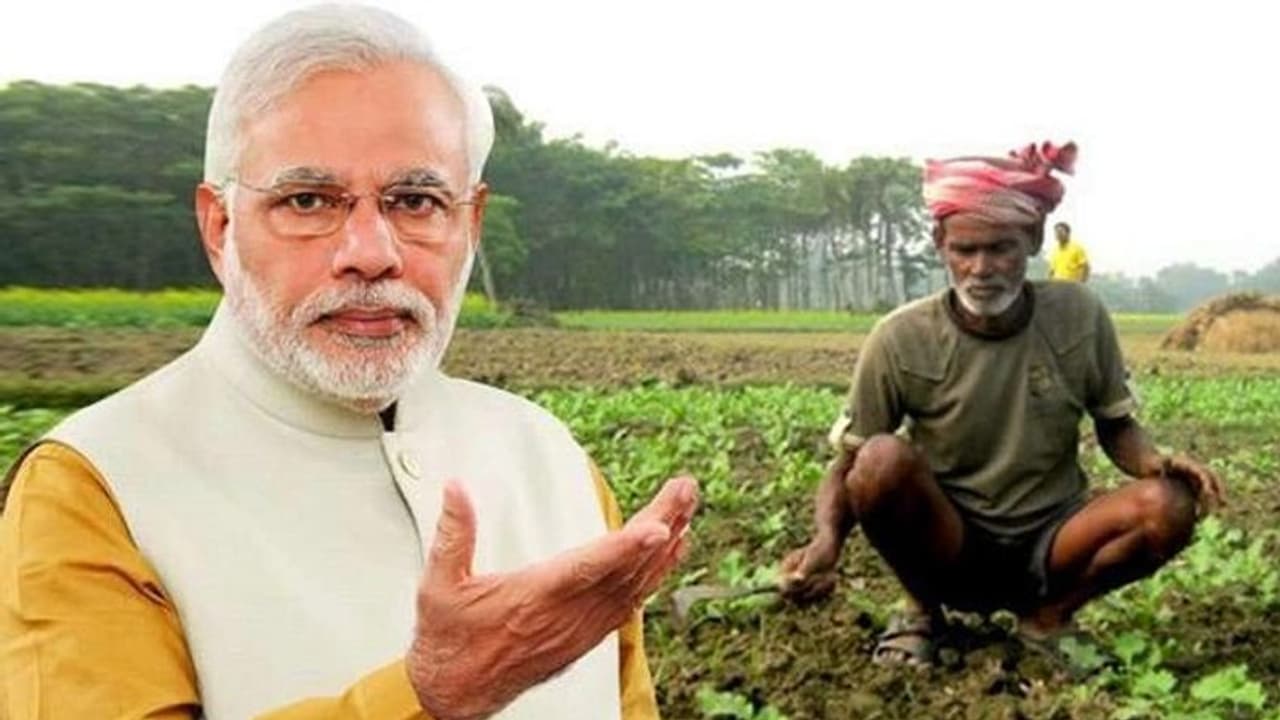 PM Kisan Yojana: ಹೊಸ ವರ್ಷದಂದು ರೈತರಿಗೆ ಗುಡ್‌ನ್ಯೂಸ್‌ ಕೊಟ್ಟ ಪ್ರಧಾನಿ ಮೋದಿ!
