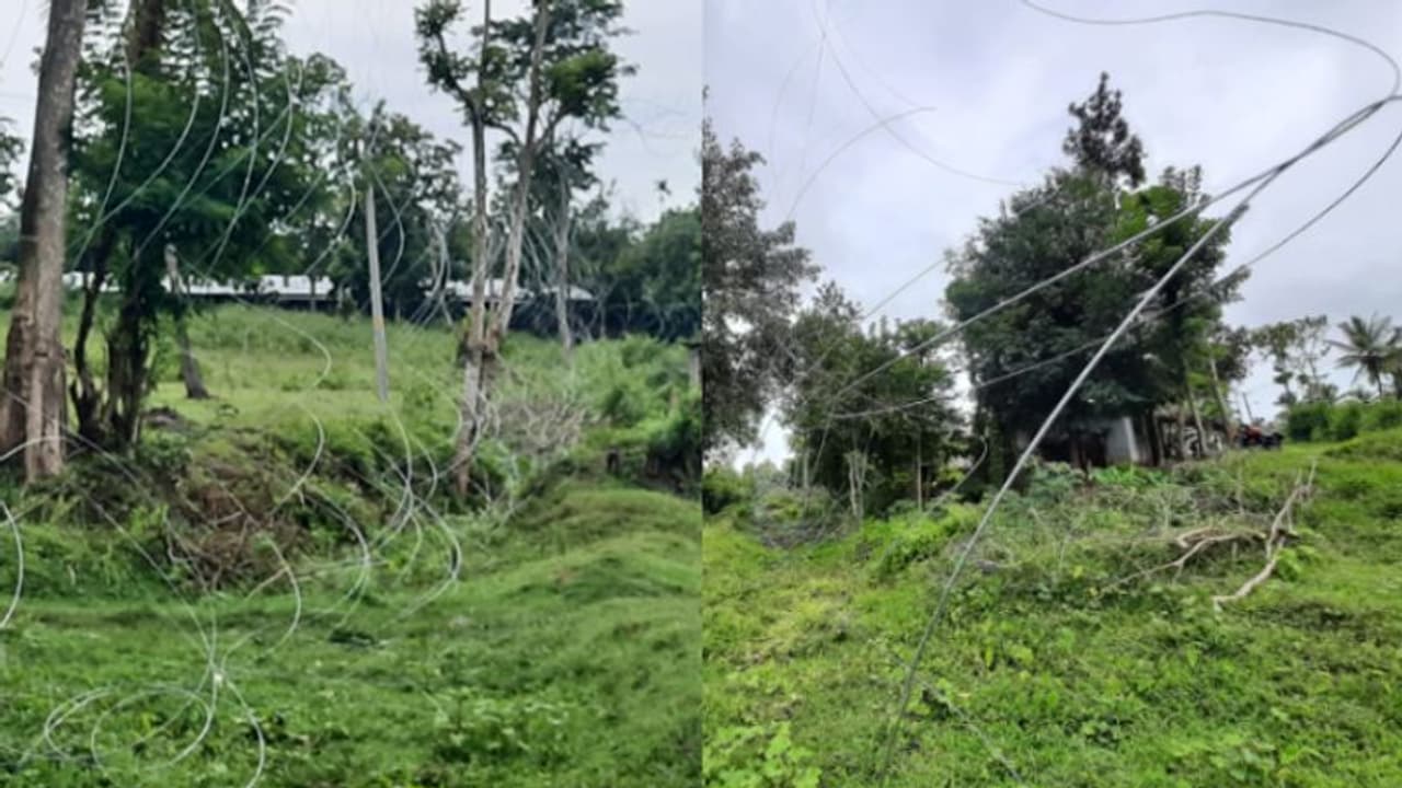 കൃഷി നശിപ്പിക്കാനെത്തുന്ന കാട്ടാനകളെ തടയാന്‍ തൂക്കുവേലി; പുതിയ വിദ്യയുമായി വയനാട്ടിലെ കര്‍ഷകര്‍