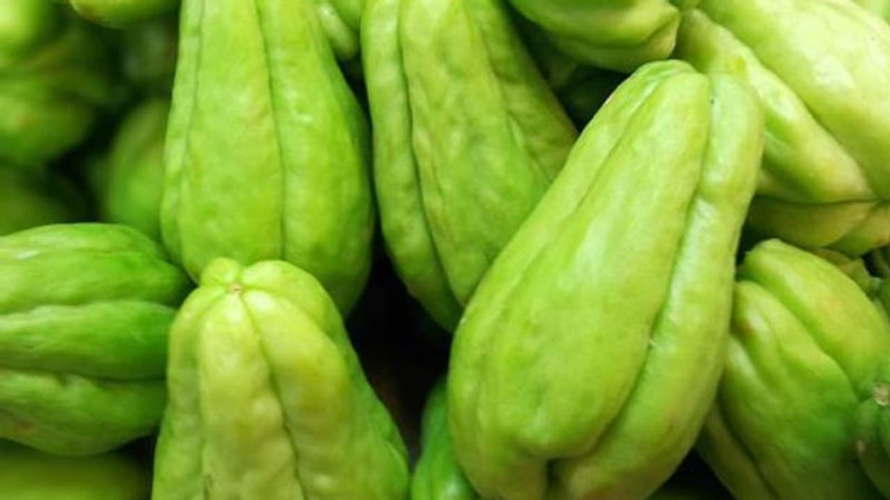 ചൗ ചൗ അഥവാ ശീമ കത്തിരിക്ക വളര്ത്താം; മഴക്കാലം കൃഷിക്ക് അനുയോജ്യം ചൗ ചൗ അഥവാ ശീമ കത്തിരിക്ക വളര്ത്താം; മഴക്കാലം കൃഷിക്ക് അനുയോജ്യം