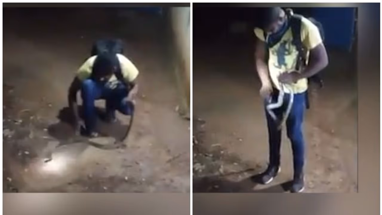 സാമ്പത്തിക ബുദ്ധിമുട്ട് മറികടക്കാന് പാമ്പ് പിടിക്കാനിറങ്ങി; കടിയേറ്റ് സക്കീര് മരിച്ചു, വേദനയില് വീട്ടുകാര് സാമ്പത്തിക ബുദ്ധിമുട്ട് മറികടക്കാന് പാമ്പ് പിടിക്കാനിറങ്ങി; കടിയേറ്റ് സക്കീര് മരിച്ചു, വേദനയില് വീട്ടുകാര്