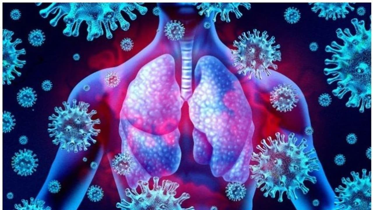 രോ​ഗപ്രതിരോധ ശേഷി വർദ്ധിപ്പിക്കാൻ എട്ട് കാര്യങ്ങൾ ശ്രദ്ധിക്കാം, ഡോക്ടർ പറയുന്നു