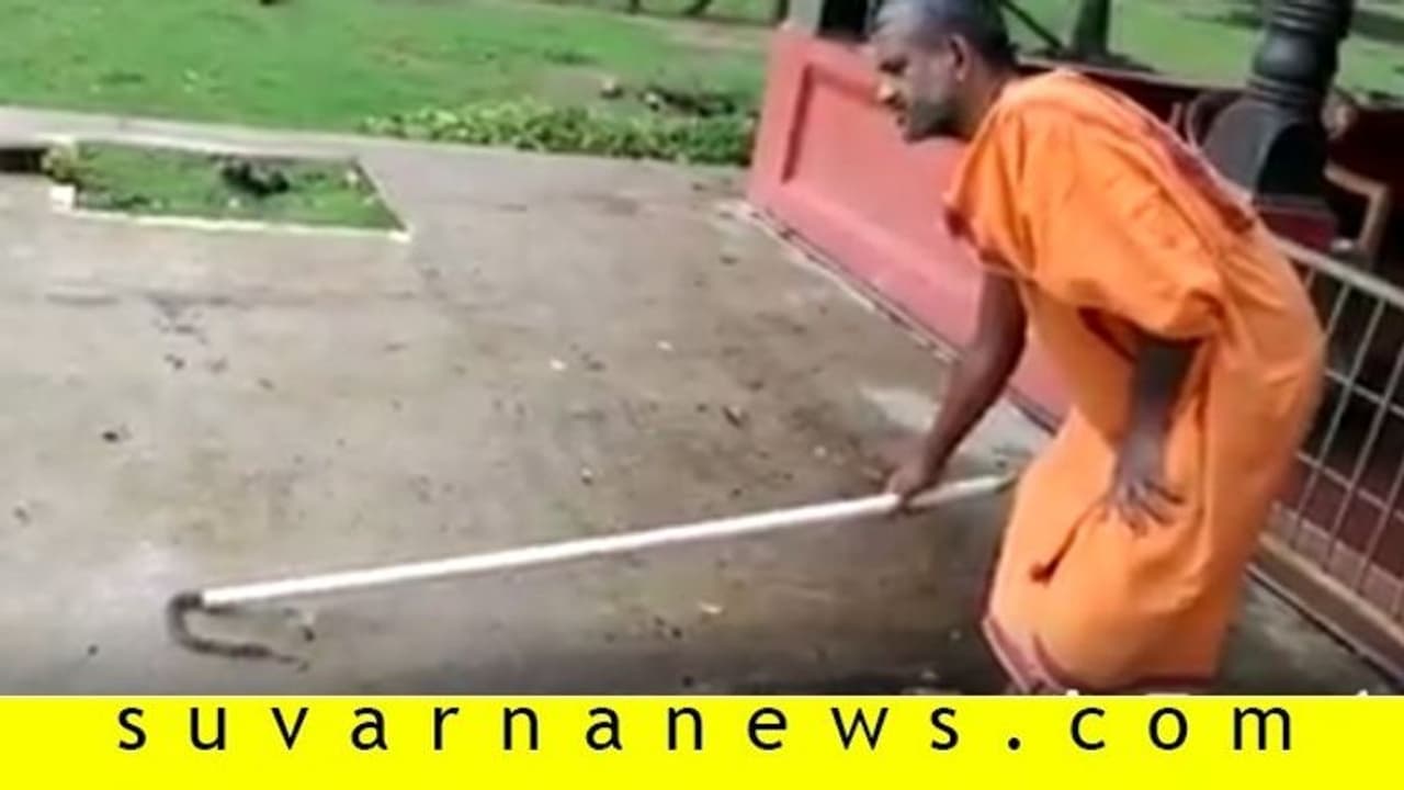 ಹೆಬ್ಬಾವಿನ ಮರಿ ರಕ್ಷಿಸಿದ ಪೇಜಾವರ ಶ್ರೀ ಹೆಬ್ಬಾವಿನ ಮರಿ ರಕ್ಷಿಸಿದ ಪೇಜಾವರ ಶ್ರೀ