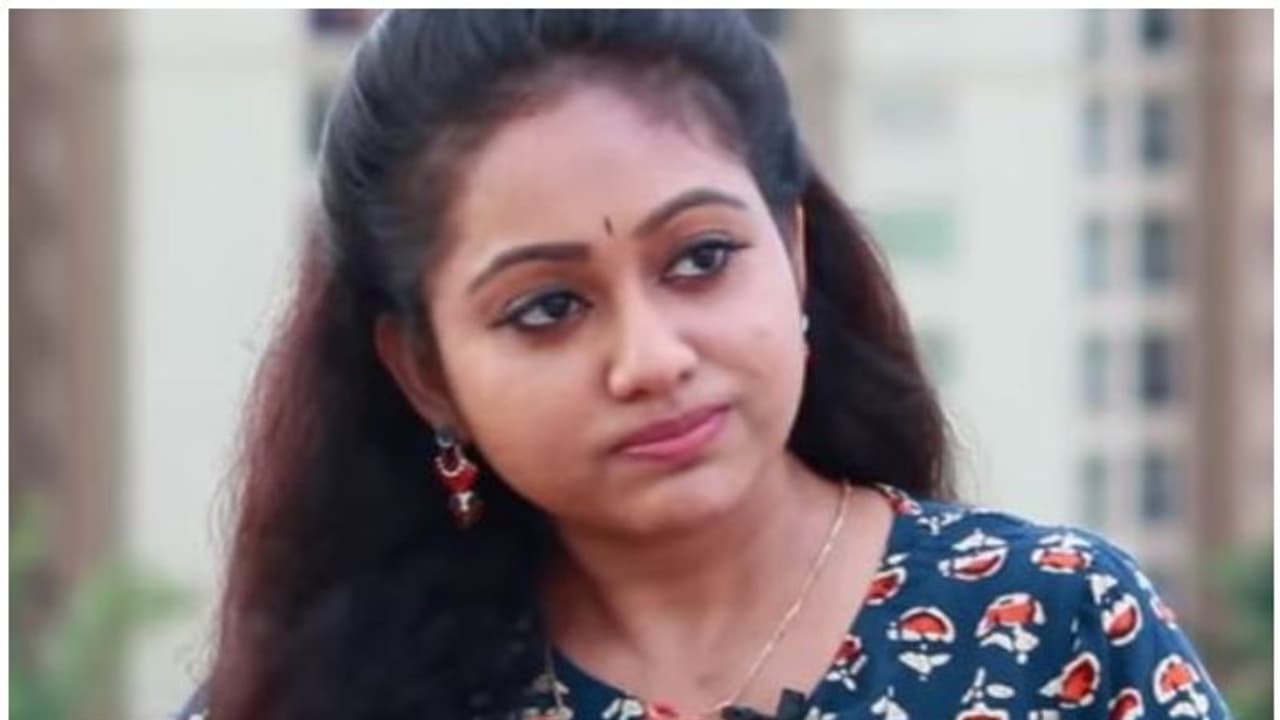 വിവാഹ മോചന വാര്‍ത്തയോട് പ്രതികരിക്കാത്തത് എന്തേ?, മറുപടിയുമായി മേഘ്‍ന വിൻസെന്റ്