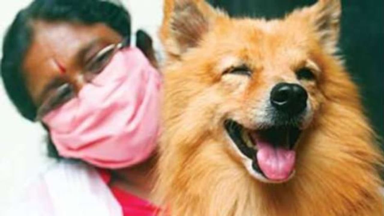 തിരയാനിനി ഇടമില്ല;കണ്ടെത്തുന്നവർക്ക് പ്രതിഫലവും പ്രഖ്യാപിച്ചു; കുട്ടുവിനെ കിട്ടിയ സന്തോഷത്തില്‍ ഒരു കുടുംബം