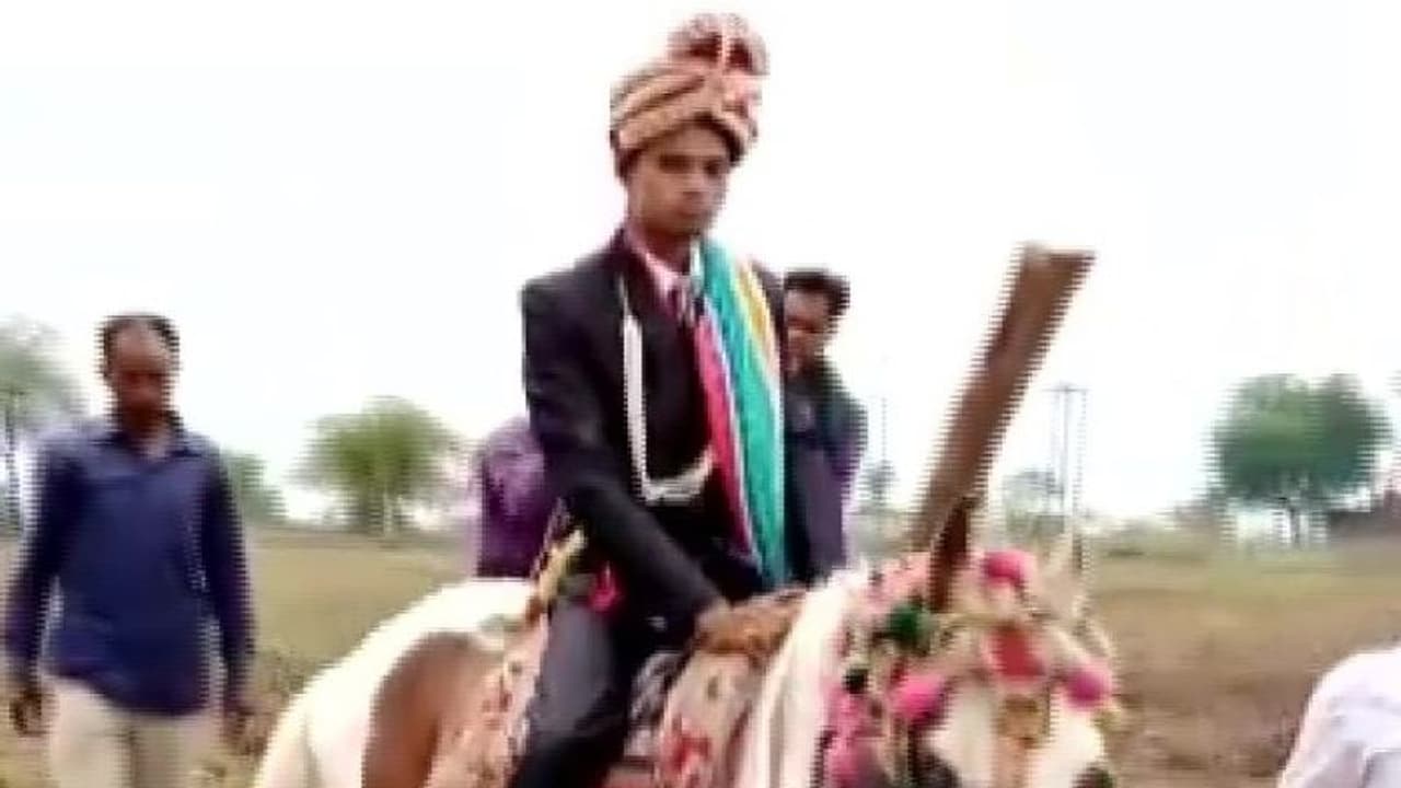 ঘোড়ায় চড়ে বিয়ে করতে যাওয়ার 'শাস্তি' পেল বর, মধ্যপ্রদেশে প্রকট হল জাতি বৈষম্য ঘোড়ায় চড়ে বিয়ে করতে যাওয়ার 'শাস্তি' পেল বর, মধ্যপ্রদেশে প্রকট হল জাতি বৈষম্য