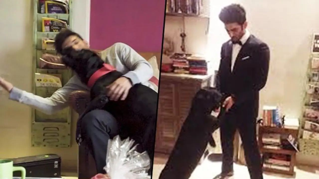 কোথায় রয়েছে এখন সুশান্তের প্রিয় পোষ্য, সোশ্যাল মিডিয়ায় খবর দিলেন অভিনেতার দিদি কোথায় রয়েছে এখন সুশান্তের প্রিয় পোষ্য, সোশ্যাল মিডিয়ায় খবর দিলেন অভিনেতার দিদি