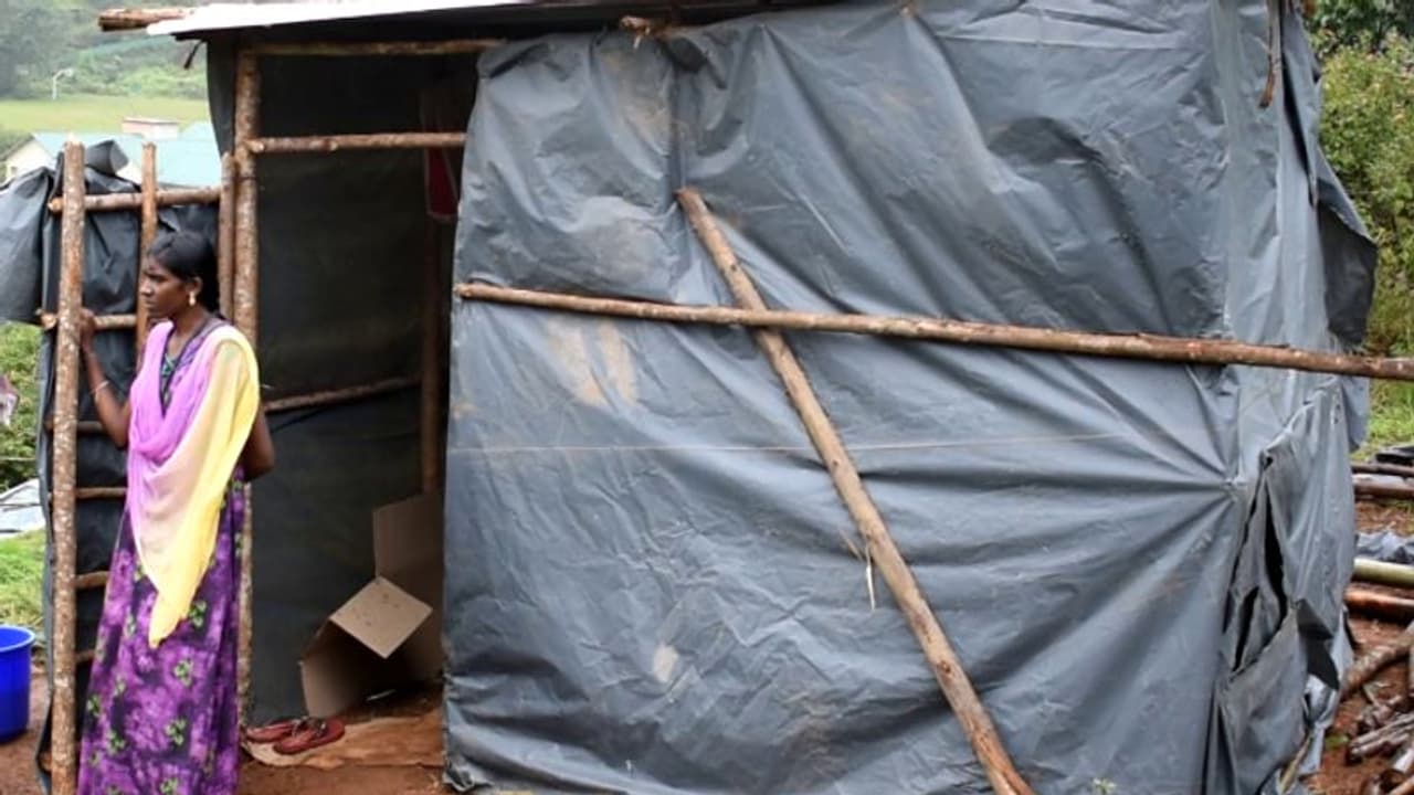 വാടകവീട്ടില് നിന്ന് ഇറക്കിവിട്ട ട്രാന്സ്ജെന്റര് റവന്യുഭൂമിയില് ഷെഡുകെട്ടി; അധിക്യതര് പൊളിച്ചുനീക്കി വാടകവീട്ടില് നിന്ന് ഇറക്കിവിട്ട ട്രാന്സ്ജെന്റര് റവന്യുഭൂമിയില് ഷെഡുകെട്ടി; അധിക്യതര് പൊളിച്ചുനീക്കി