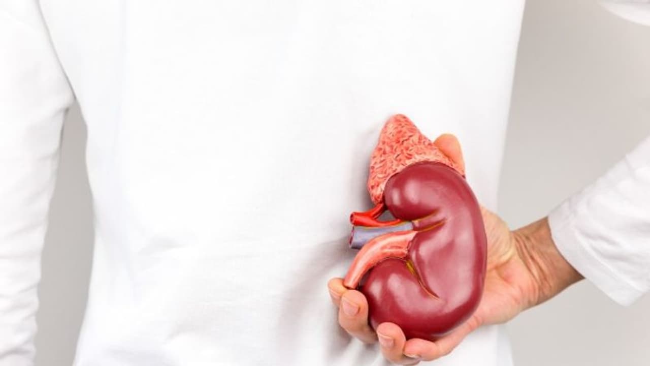 വൃക്കകളെ സംരക്ഷിക്കാൻ ഈ അഞ്ച് ഭക്ഷണങ്ങൾ ഒഴിവാക്കാം