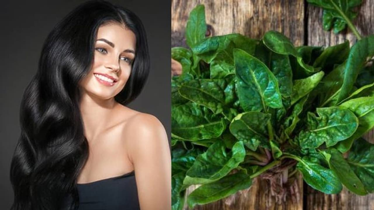 തലമുടി കൊഴിച്ചില്‍ തടയാനും തഴച്ച് വളരാനും പരീക്ഷിക്കാം പാലക് ചീര ഹെയർ മാസ്ക്...