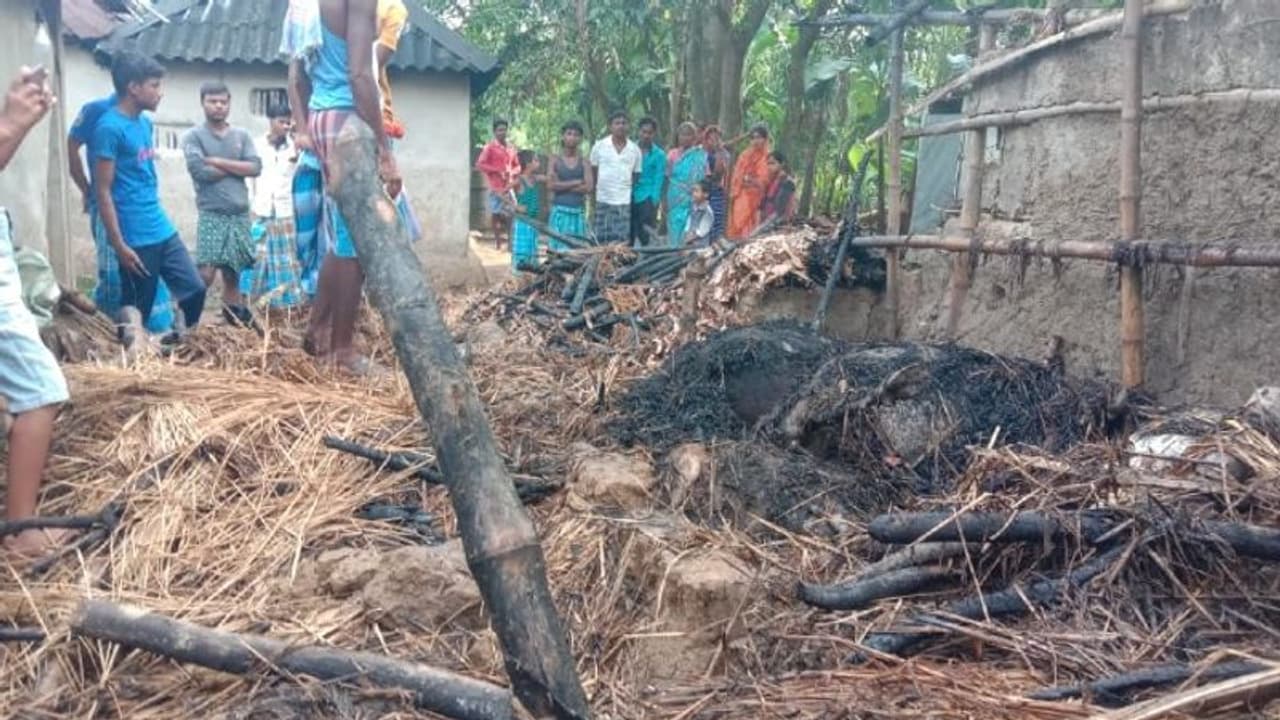 গৃহস্থের গোয়ালঘরে ভয়াবহ অগ্নিকাণ্ড, ঝলসে মারা গেল চারটি গরু