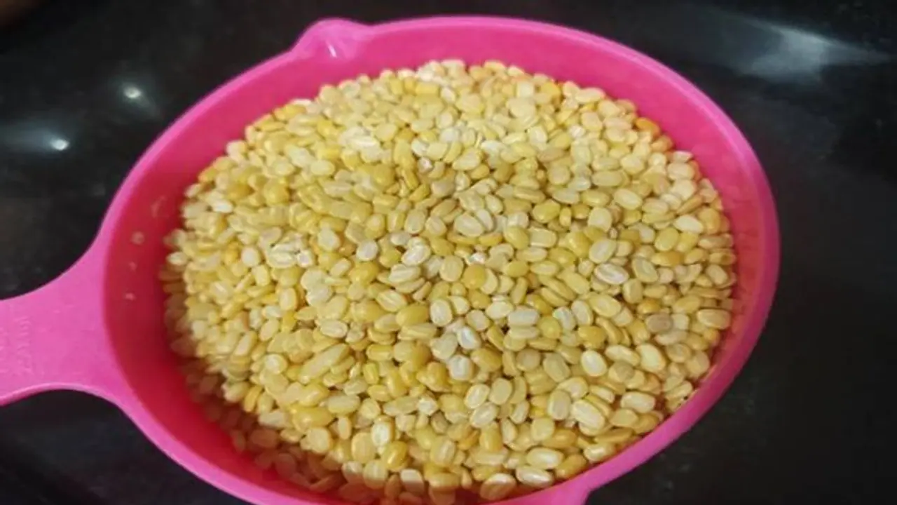Healthy Food: এক বাটি মুগ ডালেই কমবে ওজন সুগার, জেনে নিন খাওয়ার কায়দা 