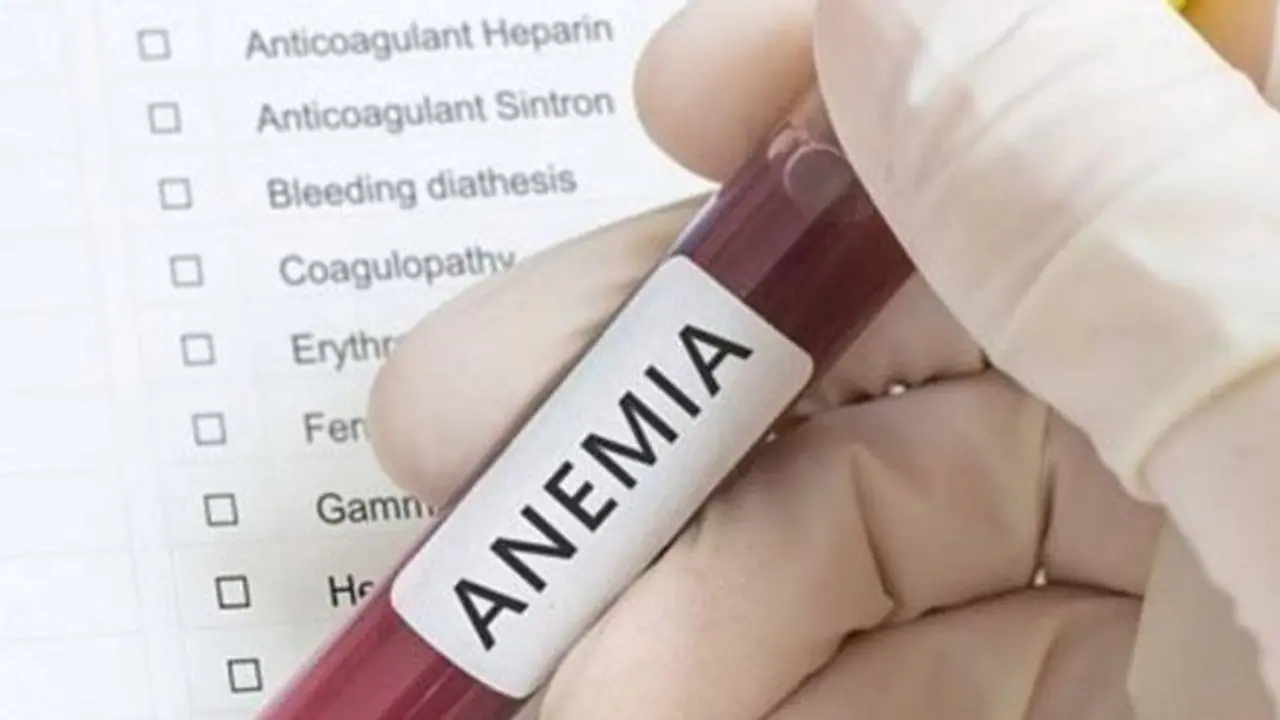 এই ৪টি জুস শরীরে রক্তের অভাব রোধ করে, আজ থেকেই রাখুন ডায়েটে এই ৪টি জুস শরীরে রক্তের অভাব রোধ করে, আজ থেকেই রাখুন ডায়েটে