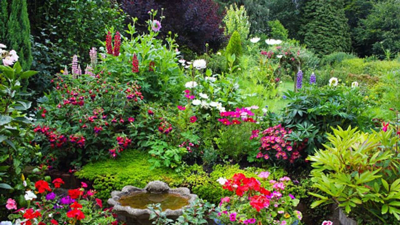 বাড়ির বাগানে কখনও এই গাছ রাখবেন না, বাস্তুমতে সাজিয়ে নিন বাগান বাড়ির বাগানে কখনও এই গাছ রাখবেন না, বাস্তুমতে সাজিয়ে নিন বাগান