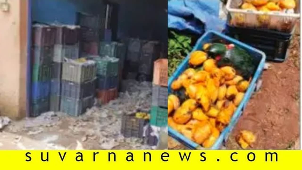 ತೋಟ ಬಿಟ್ಟು ಅಂಗಡಿಗೆ ನುಗ್ಗುತ್ತಿರುವ ಕಾಡಾನೆಗಳು!