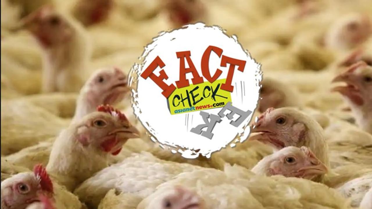 മധ്യപ്രദേശില് കോഴികളില് കൊറോണ സ്ഥിരീകരിച്ചോ? മധ്യപ്രദേശില് കോഴികളില് കൊറോണ സ്ഥിരീകരിച്ചോ?