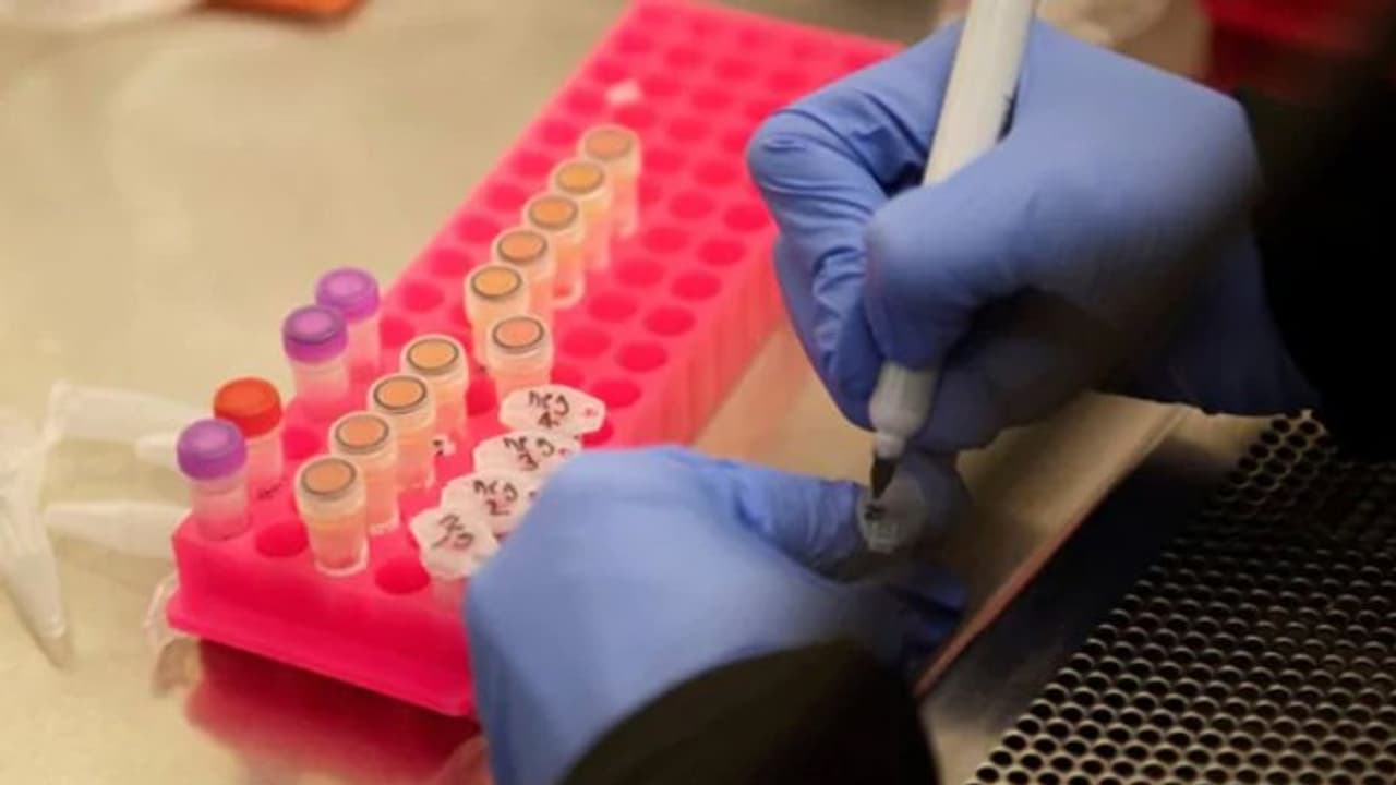 ഇന്ത്യയെ 'ലോകത്തിന്റെ ഫാര്മസി' എന്ന് വിളിച്ച് ഷാങ്ഹായ് കോര്പറേഷന് ഓര്ഗനൈസേഷന് ഇന്ത്യയെ 'ലോകത്തിന്റെ ഫാര്മസി' എന്ന് വിളിച്ച് ഷാങ്ഹായ് കോര്പറേഷന് ഓര്ഗനൈസേഷന്