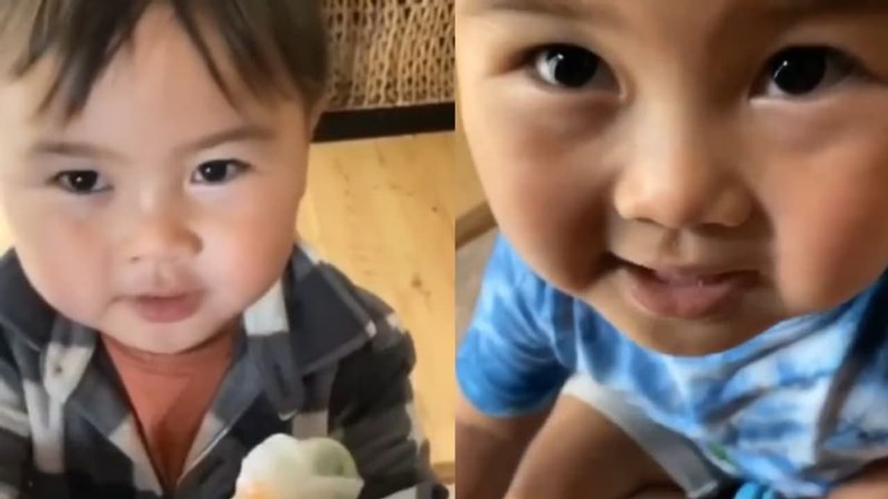 ഭക്ഷണം കൊടുത്താല്‍ ഉടനെ കിട്ടും ഒരു മറുപടി; വൈറലായ കുട്ടിക്കുറുമ്പൻ...