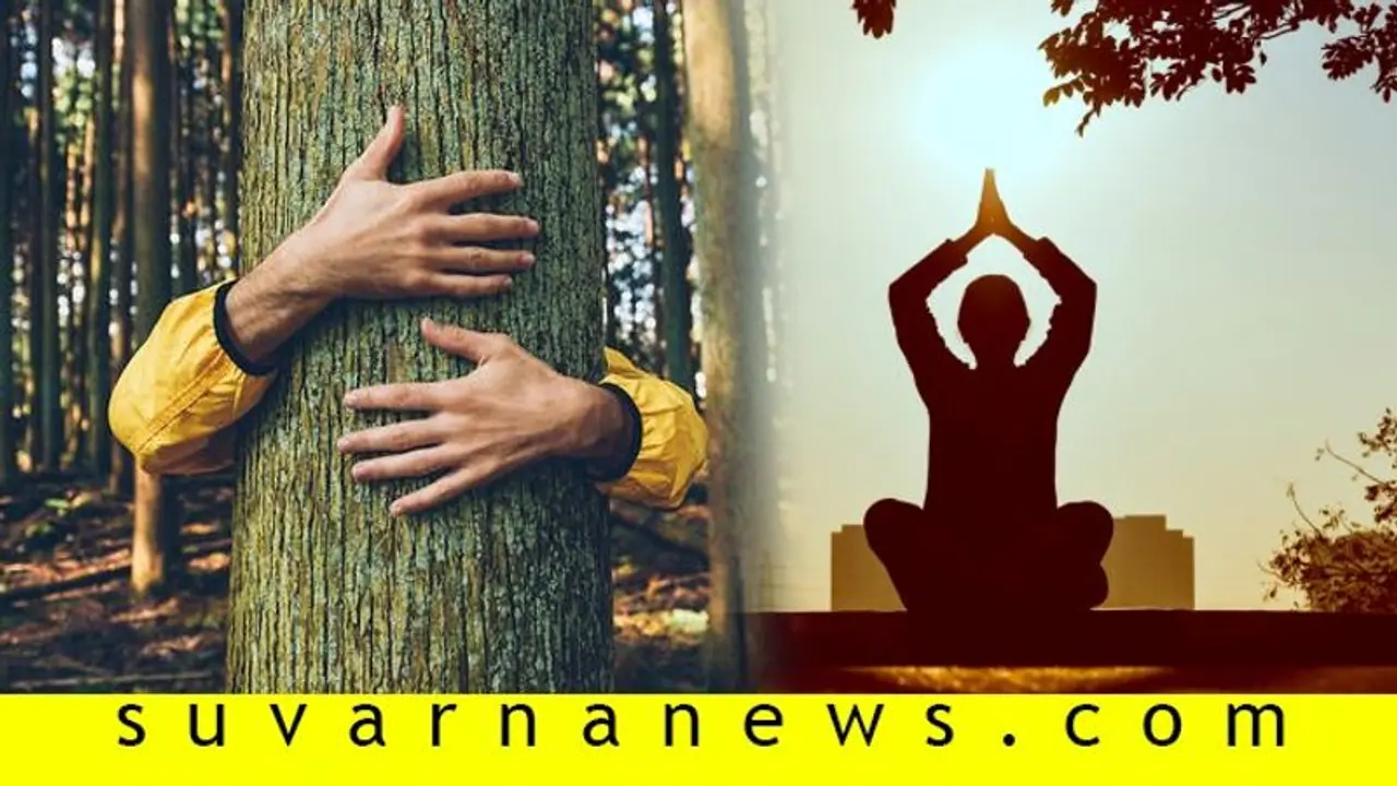 ನೋವನ್ನು ತಿರಸ್ಕರಿಸಬೇಡಿ, ತಬ್ಬಿಕೊಳ್ಳಿ; ಟಾಂಗ್ಲಿನ್ ಧ್ಯಾನ! ನೋವನ್ನು ತಿರಸ್ಕರಿಸಬೇಡಿ, ತಬ್ಬಿಕೊಳ್ಳಿ; ಟಾಂಗ್ಲಿನ್ ಧ್ಯಾನ!