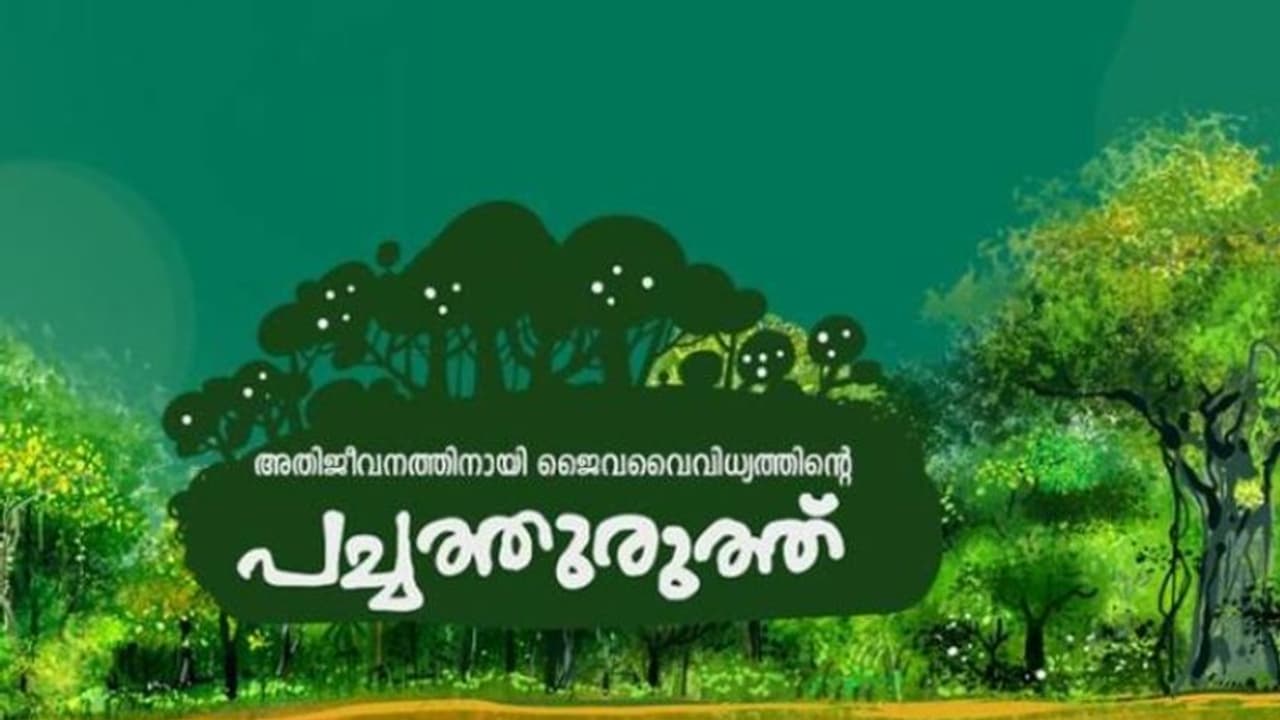 പാറ്റൂർ ഇഎംഎസ് നഗറിലെ പച്ചത്തുരുത്ത് 'കുഞ്ഞിളംകാട്' ഉദ്ഘാടനം നാളെ പാറ്റൂർ ഇഎംഎസ് നഗറിലെ പച്ചത്തുരുത്ത് 'കുഞ്ഞിളംകാട്' ഉദ്ഘാടനം നാളെ