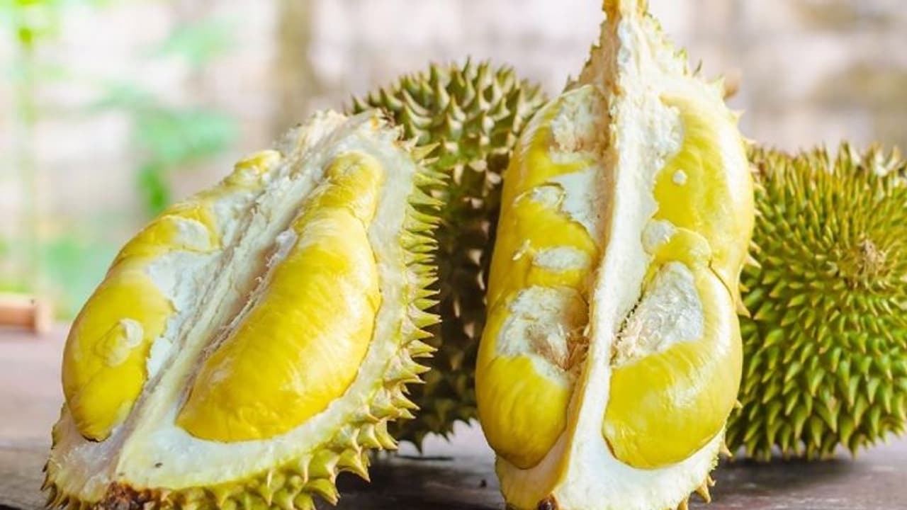 ചീഞ്ഞ മണം തലയ്ക്ക് പിടിച്ച് 12 പേര് ആശുപത്രിയിലായി; വില്ലനായത് ഈ പഴം... ചീഞ്ഞ മണം തലയ്ക്ക് പിടിച്ച് 12 പേര് ആശുപത്രിയിലായി; വില്ലനായത് ഈ പഴം...