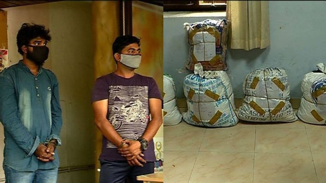 കോഴിക്കോട്ട് കള്ളന്മാർക്കായി വലവിരിച്ചു, പിടികൂടിയത് കാല് കോടിയുടെ കഞ്ചാവ് കോഴിക്കോട്ട് കള്ളന്മാർക്കായി വലവിരിച്ചു, പിടികൂടിയത് കാല് കോടിയുടെ കഞ്ചാവ്