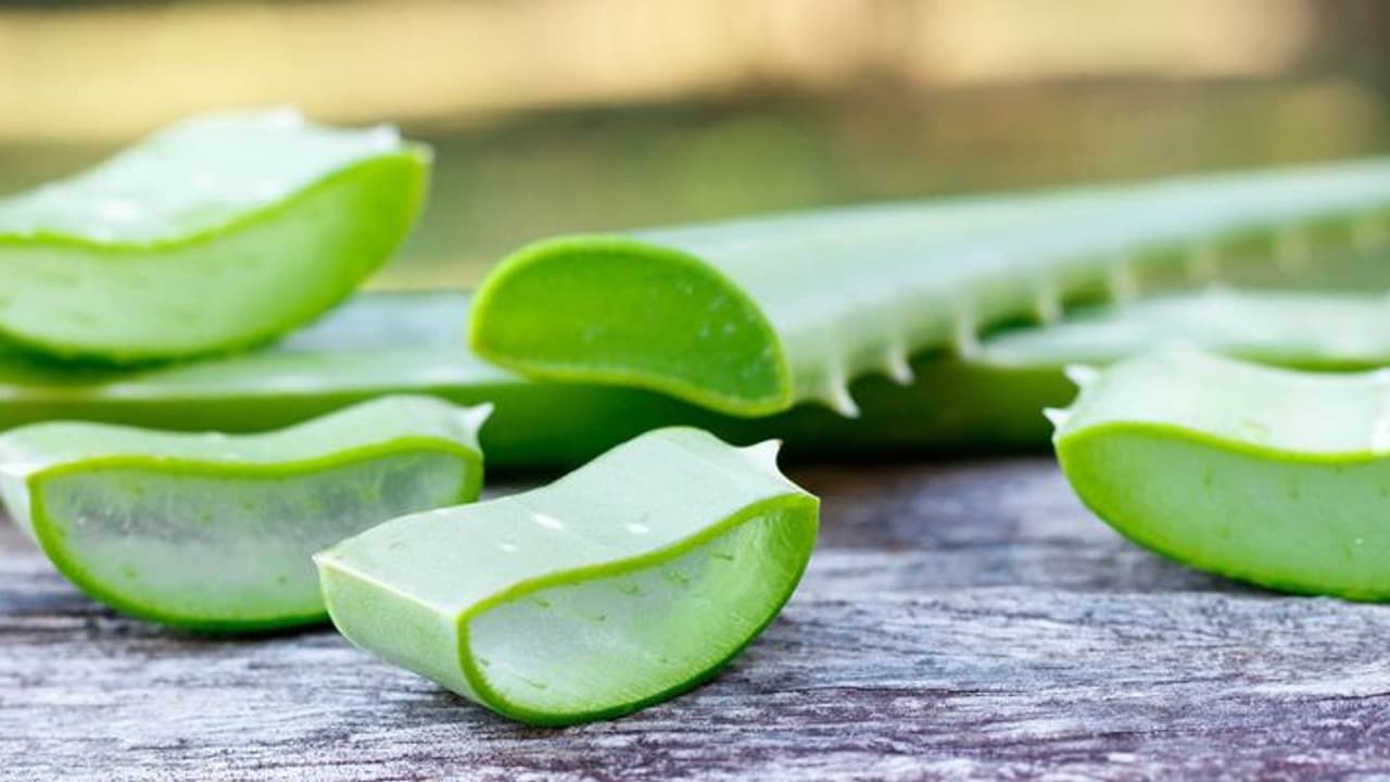Aloe Vera For Hair : കരുത്തുള്ള മുടിയ്ക്കായി കറ്റാർവാഴ ഉപയോ​ഗിക്കാം 