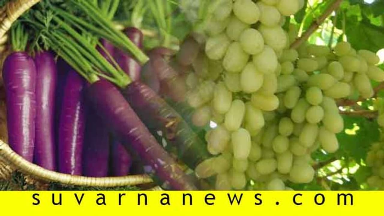 ಗೊತ್ತೇ, ಪೀನಟ್ ಬಟರ್ನಿಂದ ವಜ್ರ ತೆಗೆಯಬಹುದು! ಗೊತ್ತೇ, ಪೀನಟ್ ಬಟರ್ನಿಂದ ವಜ್ರ ತೆಗೆಯಬಹುದು!