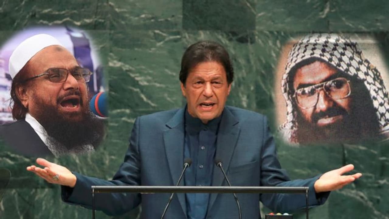 'নিরাপদ আশ্রয়স্থল', ইমরান খানের মিথ্যার বেলুন ফাঁসিয়ে দিলেন ডোনাল্ড ট্রাম্প 'নিরাপদ আশ্রয়স্থল', ইমরান খানের মিথ্যার বেলুন ফাঁসিয়ে দিলেন ডোনাল্ড ট্রাম্প