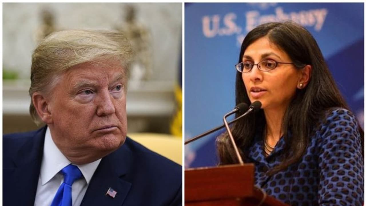 തൊഴിൽ വിസകളുടെ വിലക്ക് അമേരിക്കൻ സമ്പദ് വ്യവസ്ഥയ്ക്ക് ഹാനികരം; യുഎസ്ഐബിസി പ്രസിഡന്റ് തൊഴിൽ വിസകളുടെ വിലക്ക് അമേരിക്കൻ സമ്പദ് വ്യവസ്ഥയ്ക്ക് ഹാനികരം; യുഎസ്ഐബിസി പ്രസിഡന്റ്