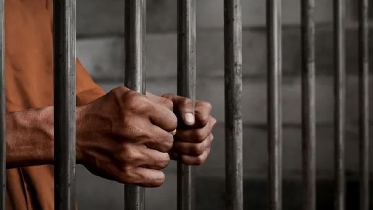 'এস' এর হেরফেরেই বাড়ল শাস্তির মেয়াদ, জেল যাত্রা এড়াতে মার্কিন যুবকের কাণ্ড দেখে হতবাক আদালত