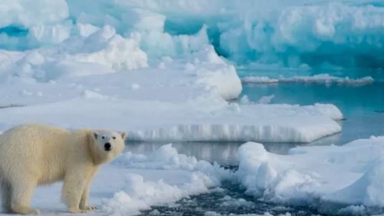 ആഗോളതാപനം: ആര്‍ട്ടിക് സമുദ്രത്തില്‍ 2050 ഓടെ മഞ്ഞുപാളികള്‍ ഇല്ലാതാവുമെന്ന് പഠനം