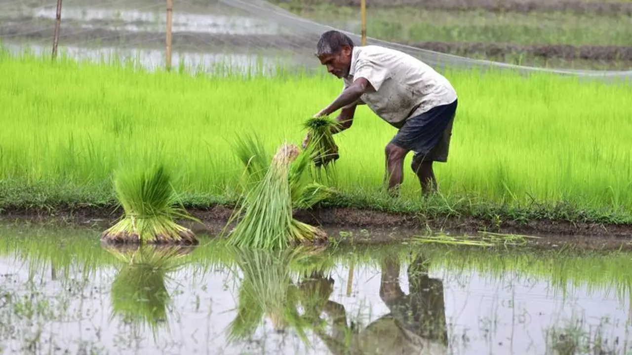 ఏపీ వరదలు: నవంబర్ రెండో వారంలో రాష్ట్రానికి కేంద్ర బృందం ఏపీ వరదలు: నవంబర్ రెండో వారంలో రాష్ట్రానికి కేంద్ర బృందం