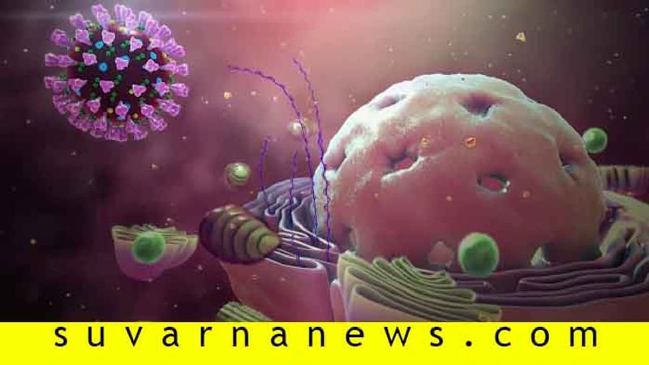 ಆಷಾಢದಲ್ಲಿ ಹೆಚ್ಚಾಗುತ್ತೆ ಕೊರೋನಾ, ಪಾರಾಗೋದೇನೂ ಕಷ್ಟವಲ್ಲ ಬಿಡಿ...