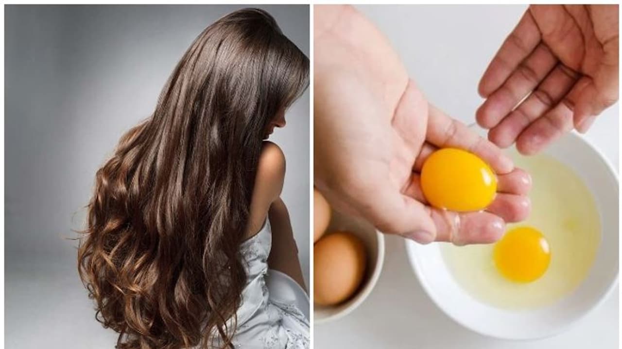 മുടി തഴച്ച് വളരാൻ മുട്ട കൊണ്ടുള്ള ഹെയർപാക്കുകൾ മുടി തഴച്ച് വളരാൻ മുട്ട കൊണ്ടുള്ള ഹെയർപാക്കുകൾ