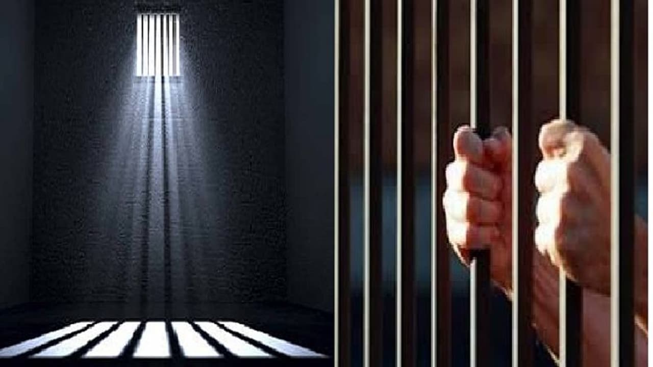 പെരുമ്പാവൂരിൽ മൊബൈൽ കട കുത്തിത്തുറന്ന് മോഷണം, അഞ്ച് ലക്ഷം രൂപയുടെ നഷ്ടം പെരുമ്പാവൂരിൽ മൊബൈൽ കട കുത്തിത്തുറന്ന് മോഷണം, അഞ്ച് ലക്ഷം രൂപയുടെ നഷ്ടം