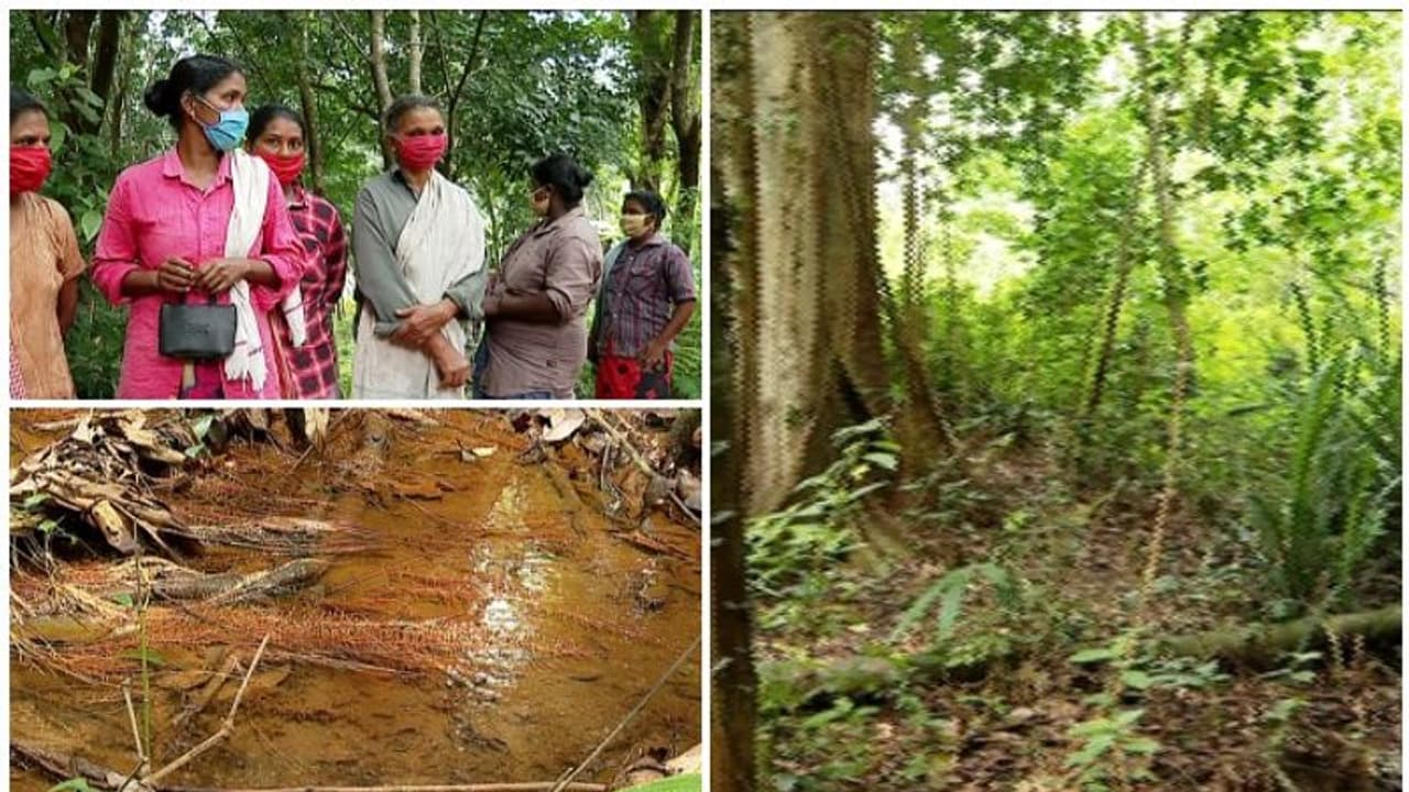 പെരിങ്ങമലയിലെ ഭൂമി വീണ്ടും വിവാദത്തിലേക്ക്; കൃഷി നടത്താമെന്ന നിർദ്ദേശവുമായി ഐഎംഎ