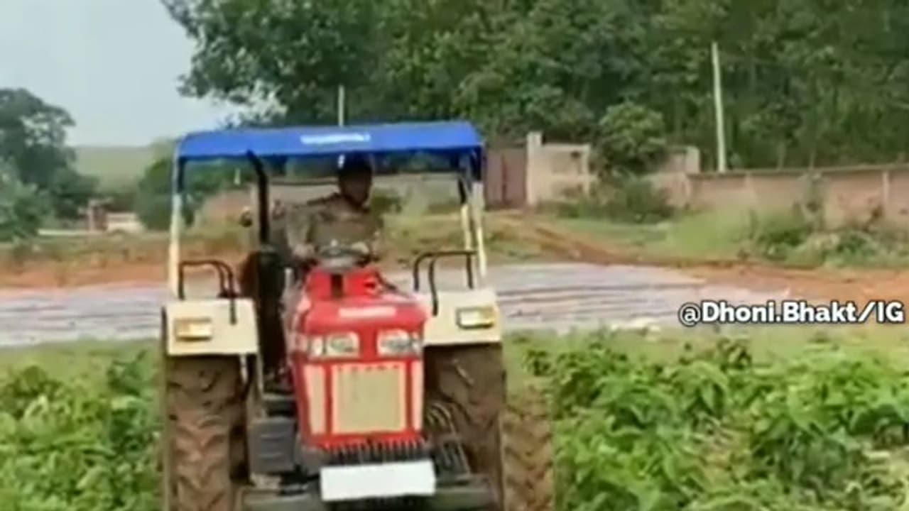 ট্রাক্টর আগেই কিনেছিলেন,এবার কৃষিকাজ শুরু করলেন ধোনি,ভাইরাল ভিডিও ট্রাক্টর আগেই কিনেছিলেন,এবার কৃষিকাজ শুরু করলেন ধোনি,ভাইরাল ভিডিও