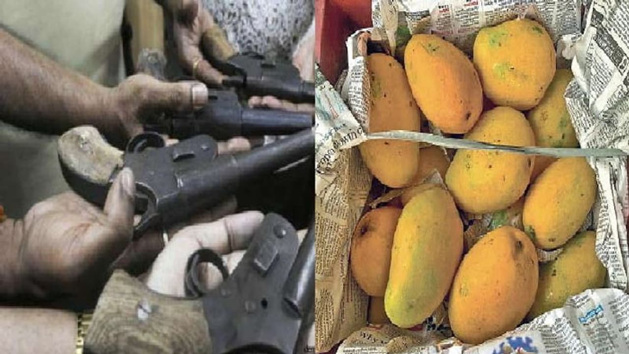 आम के साथ भेजे जा रहे थे पिस्टल और कारतूस, ऐसे खुल गया राज आम के साथ भेजे जा रहे थे पिस्टल और कारतूस, ऐसे खुल गया राज