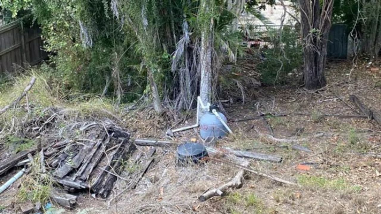 ഈ ചിത്രത്തിലൊരു ഭീമന് പാമ്പ് ഒളിഞ്ഞിരിപ്പുണ്ട്, കണ്ടുപിടിക്കാമോ ഈ ചിത്രത്തിലൊരു ഭീമന് പാമ്പ് ഒളിഞ്ഞിരിപ്പുണ്ട്, കണ്ടുപിടിക്കാമോ