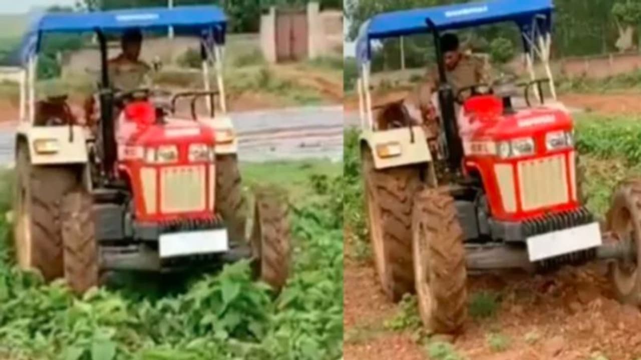 இனிமேல் கிரிக்கெட்லாம் வேலைக்கு ஆகாது..! இயற்கை விவசாயத்தில் இறங்கிய தோனி.. வீடியோ இனிமேல் கிரிக்கெட்லாம் வேலைக்கு ஆகாது..! இயற்கை விவசாயத்தில் இறங்கிய தோனி.. வீடியோ