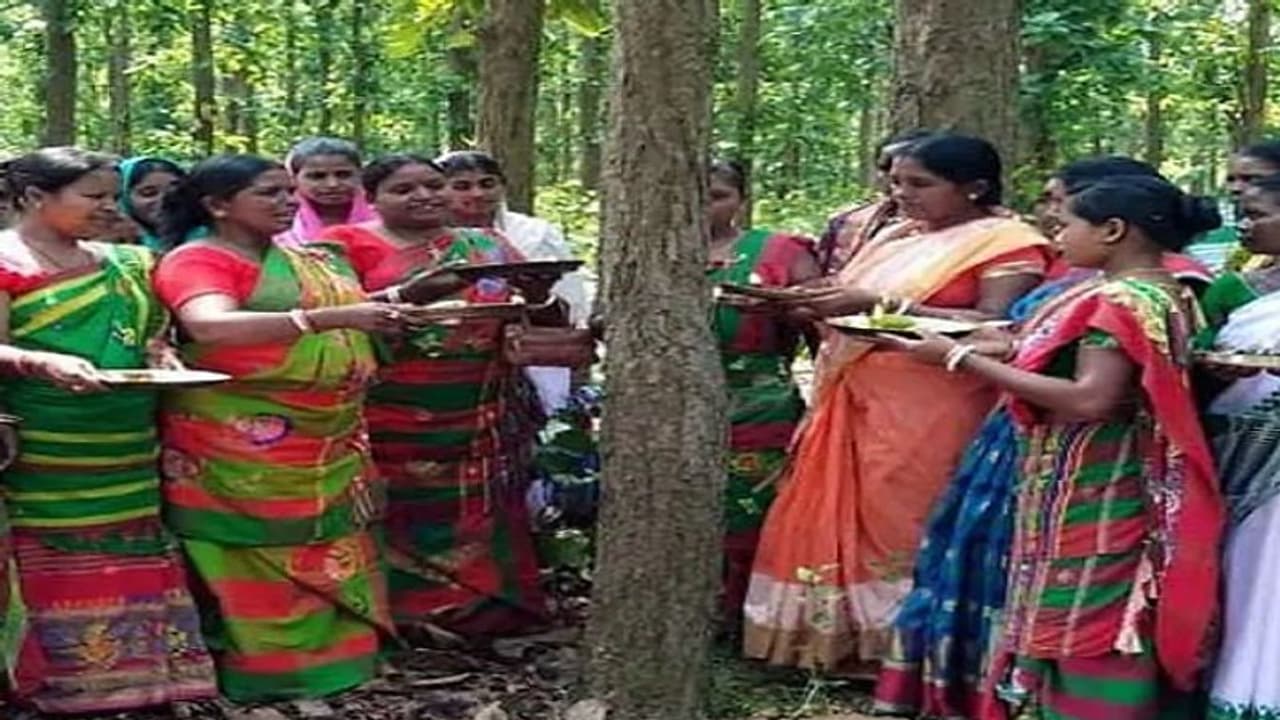 तीन पेड़ों की जिंदगी बचाने के लिए सड़क पर उतर आया पूरा मोहल्ला, महिलाओं ने पेड़ों को बांधी राखी तीन पेड़ों की जिंदगी बचाने के लिए सड़क पर उतर आया पूरा मोहल्ला, महिलाओं ने पेड़ों को बांधी राखी