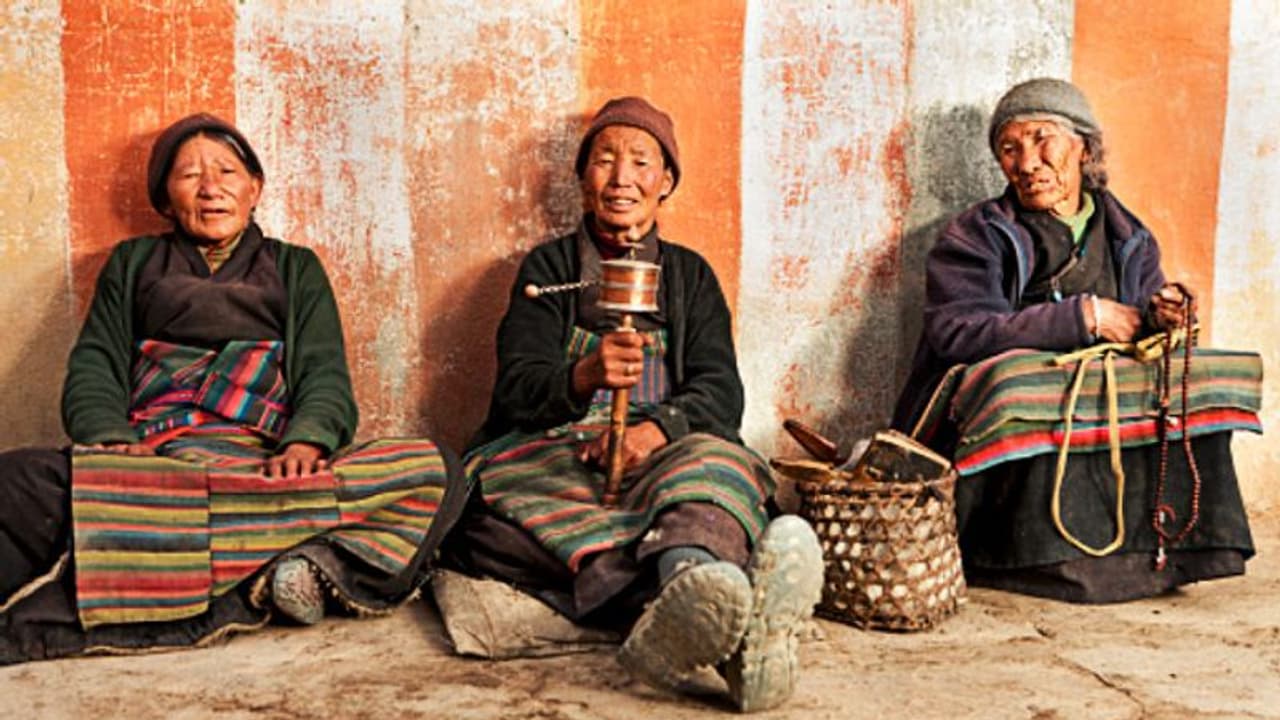 'সাংস্কৃতিক গণহত্যা' চালাচ্ছে চিন, জিনপিং এর বিচারে বিশেষ অধিবেশন করবে কি রাষ্ট্রসংঘ 'সাংস্কৃতিক গণহত্যা' চালাচ্ছে চিন, জিনপিং এর বিচারে বিশেষ অধিবেশন করবে কি রাষ্ট্রসংঘ